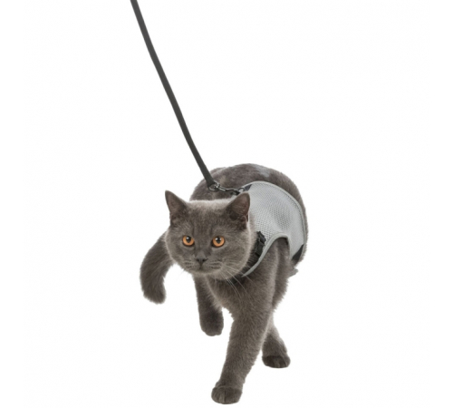 Trixie Katzen-Softgeschirr mit Leine