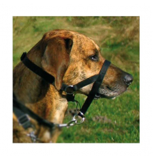 Trixie Top Trainer Ausbildungsgeschirr - max. 37 cm