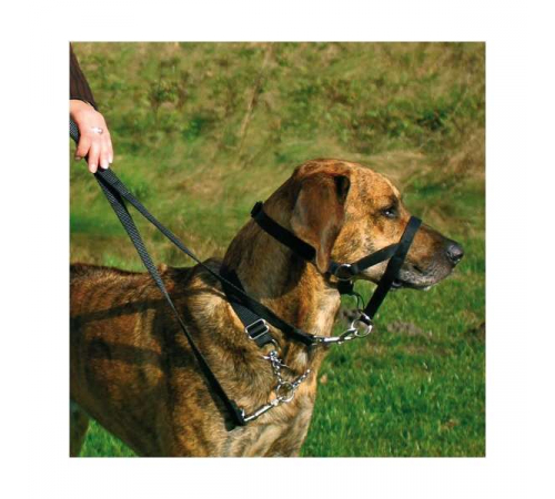 Trixie Top Trainer Ausbildungsgeschirr - max. 46 cm