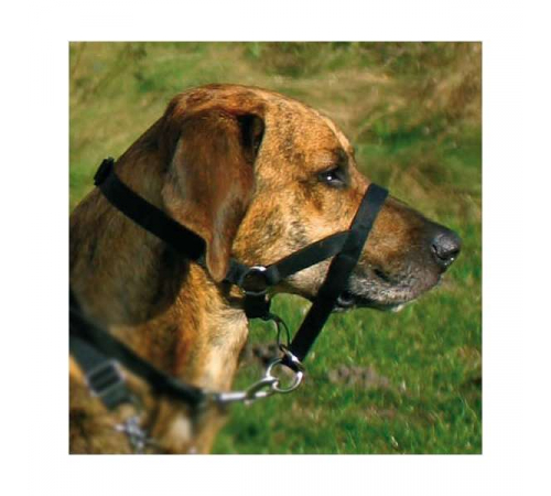 Trixie Top Trainer Ausbildungsgeschirr - max. 31 cm