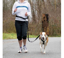 Trixie Bauchgurt mit Leine für mittelgroße und große Hunde - 75-120 cm