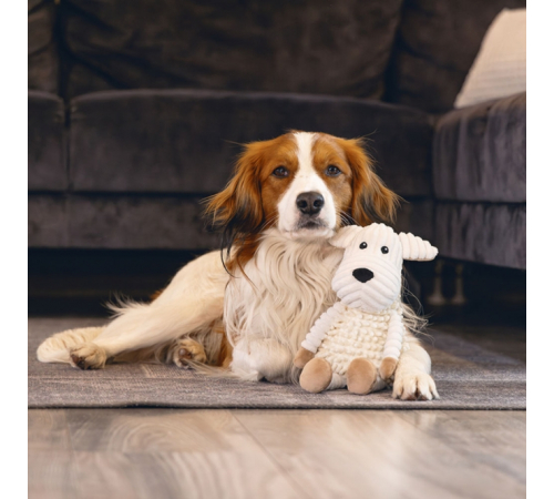 Beeztees Eco Hund Onne - geräuschlos