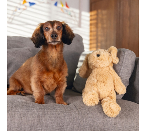 Beeztees Hundespielzeug Hund Vajen - geräuschlos