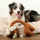 D&D Hundespielzeug George Teddystoff - braun - 52cm