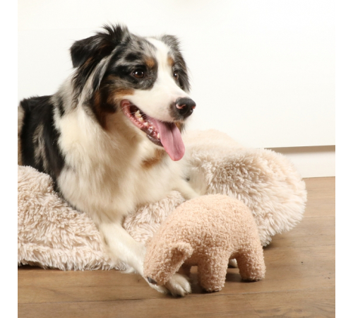 D&D Hundespielzeug Banjo Teddystoff - beige - S - 22x12x13cm
