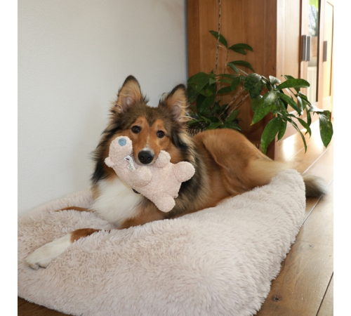 D&D Hundespielzeug Banjo Teddystoff - beige - S - 22x12x13cm