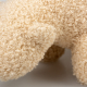 D&D Hundespielzeug Banjo Teddystoff - beige - S - 22x12x13cm