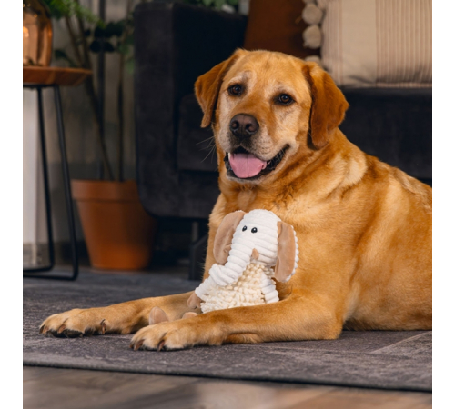 Beeztees Eco Kuscheltuch Nory
