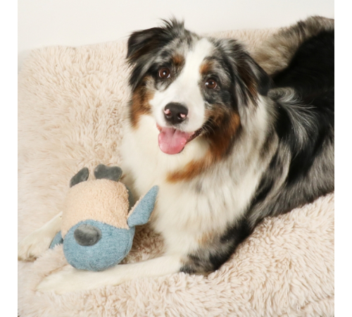 D&D Hundespielzeug Isla Chenille - blau