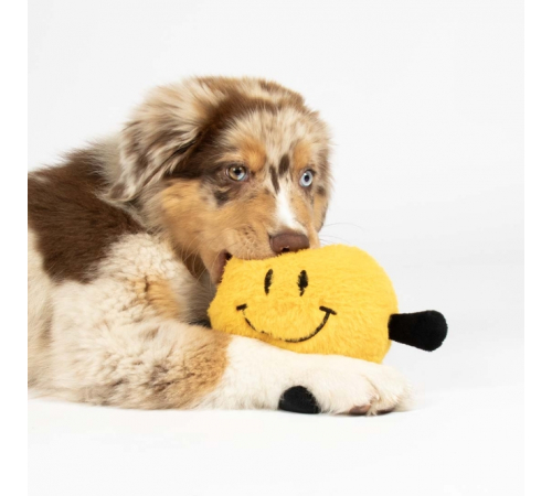 EBI Coockoo Hundespielzeug Bouncy Buddy - gelb