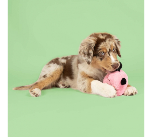 EBI Coockoo Hundespielzeug Bouncy Buddy - rosa