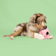 EBI Coockoo Hundespielzeug Bouncy Buddy - rosa