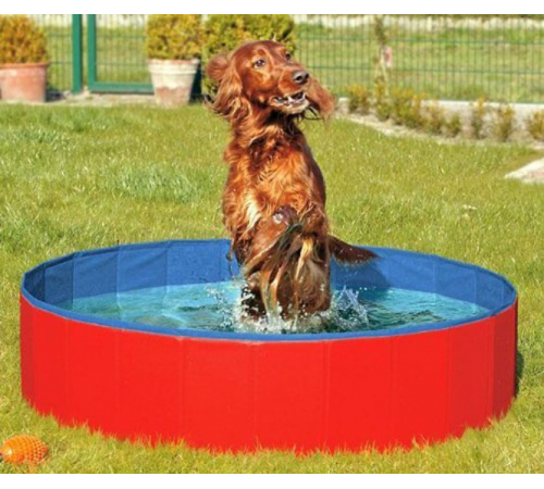 Karlie DOGGY POOL der Swimmingpool für Hunde - Rot-Blau - 160 cm