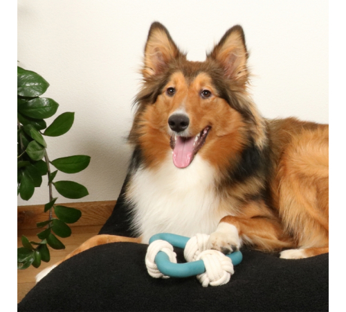 D&D Hundespielzeug Milou - lagoon