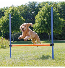 Trixie Agility Hürde