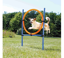 Trixie Agility Ring