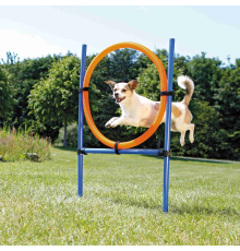 Trixie Agility Ring