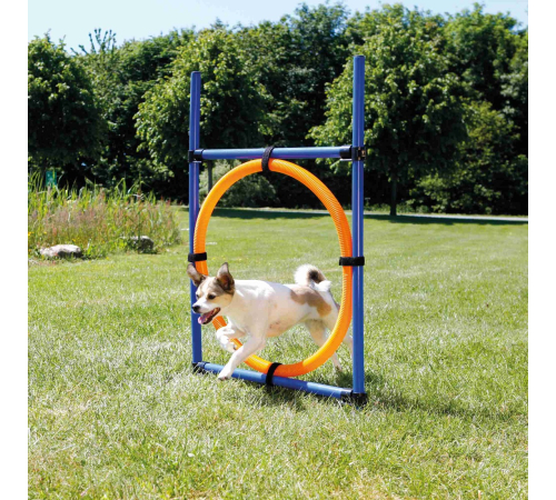 Trixie Agility Ring