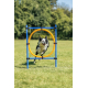 Trixie Agility Ring