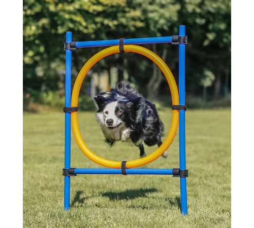 Trixie Agility Ring