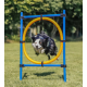 Trixie Agility Ring