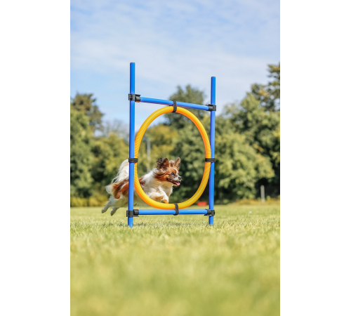 Trixie Agility Ring
