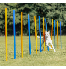 Trixie Agility Slalom