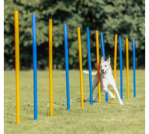 Trixie Agility Slalom