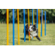 Trixie Agility Slalom