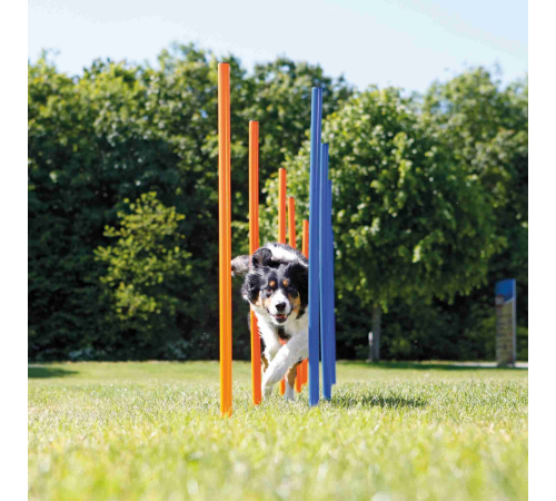 Trixie Agility Slalom