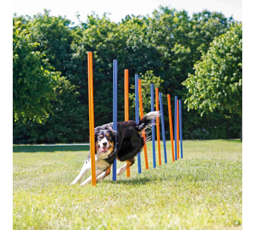 Trixie Agility Slalom