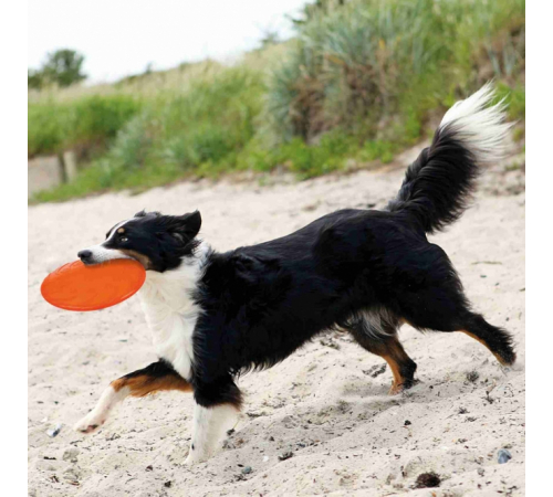 Trixie TPR Dog Disc, schwimmfähig - 22 cm