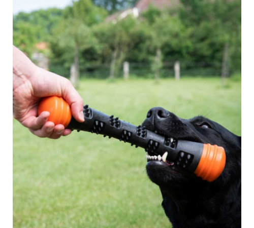 Dog Comets Meteor Wurfstock - Orange / S