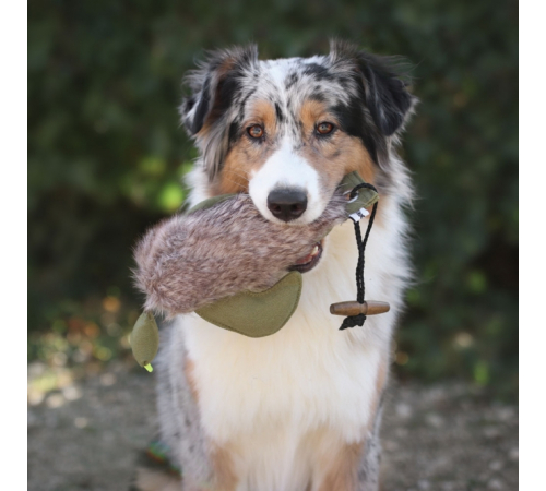 PROCYON Duck Dummy mit Kunstfell