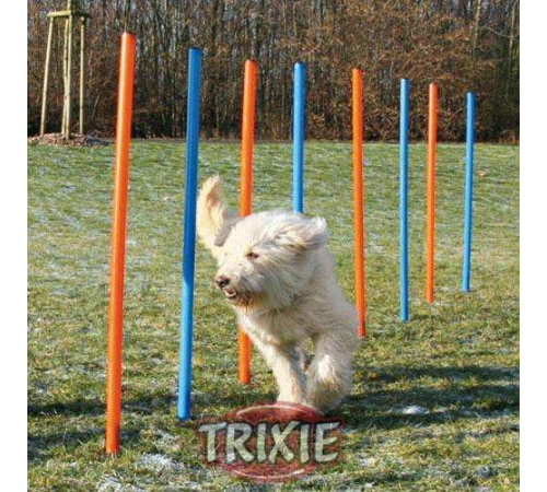 Trixie Agility Slalom