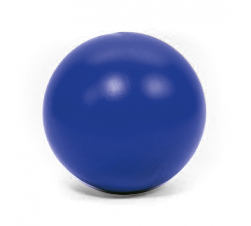 PROCYON Treibball - Blau