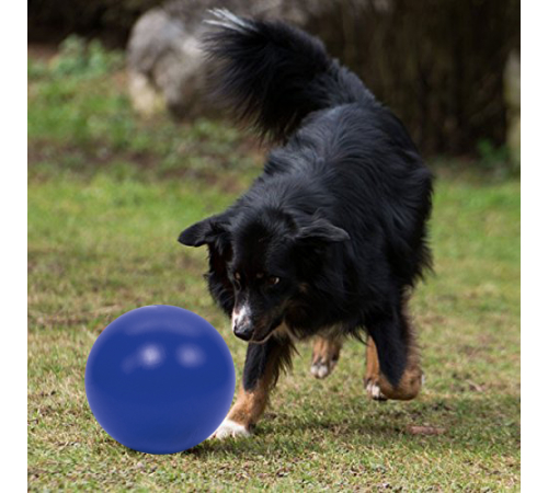 PROCYON Treibball - Blau
