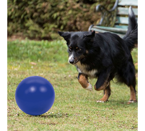 PROCYON Treibball - Blau