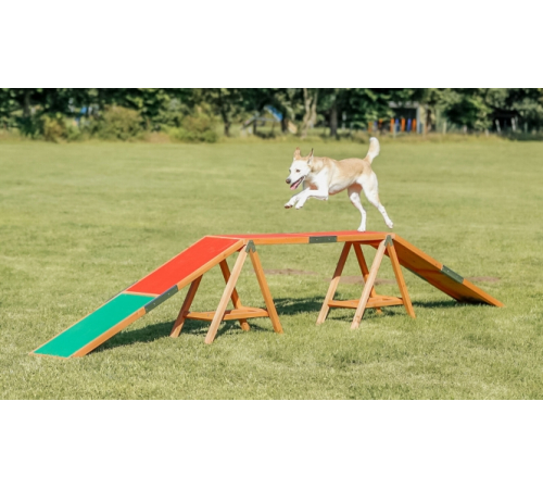 Trixie Fun Agility Steg