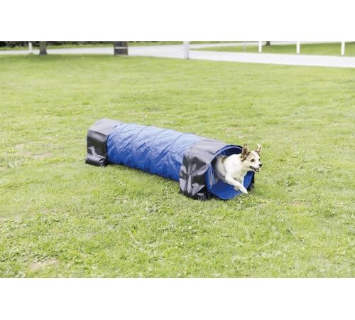 Trixie Agility Tunnel für kleine Hunde / Welpen