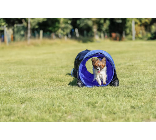 Trixie Agility Tunnel für kleine Hunde / Welpen