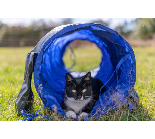 Trixie Agility Tunnel für kleine Hunde / Welpen