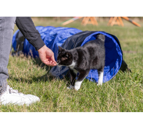 Trixie Agility Tunnel für kleine Hunde / Welpen