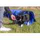 Trixie Agility Tunnel für kleine Hunde / Welpen