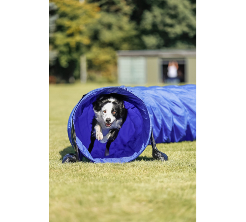Trixie Agility Tunnel für mittlere/größere Hunde