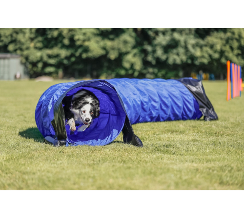 Trixie Agility Tunnel für mittlere/größere Hunde