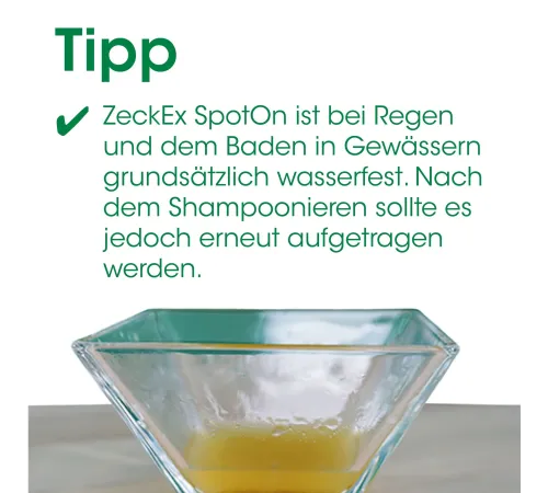 Средство по уходу - cdVet ZeckEx SpotOn 50 ml