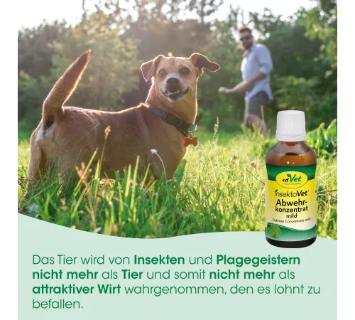 Мягкий защитный концентрат insektoVet Abwehrkonzentrat mild 10 мл