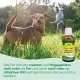 Мягкий защитный концентрат insektoVet Abwehrkonzentrat mild 10 мл