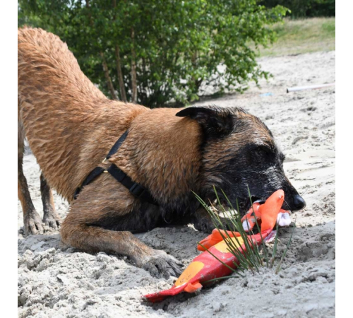 Hozies Billy Bengal aus Feuerwehrschlauch - Small